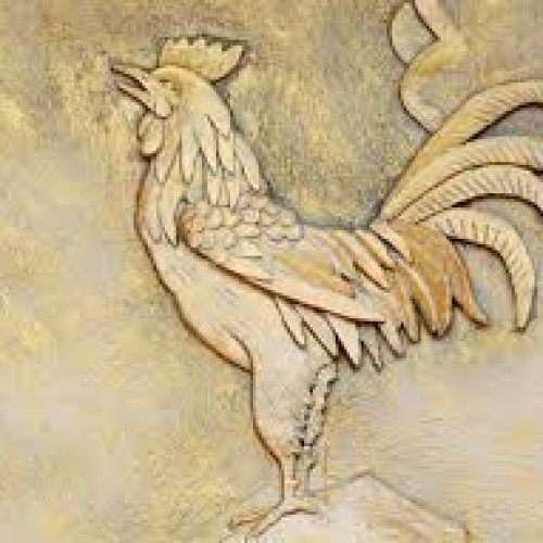 WhatsApp Image 2026-01-22 at 15.26.24